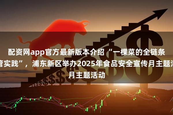 配资网app官方最新版本介绍 “一棵菜的全链条监管实践”，浦东新区举办2025年食品安全宣传月主题活动